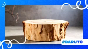 How to Make a Jewelry Stand from a Branch