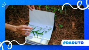 How to Make a Pressed Flower Suncatcher