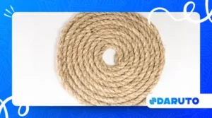 Rope Coasters Suitable for Beginner Builds