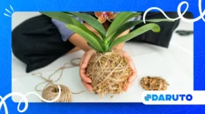 Rise of plant-based DIY trends in creative craft projects