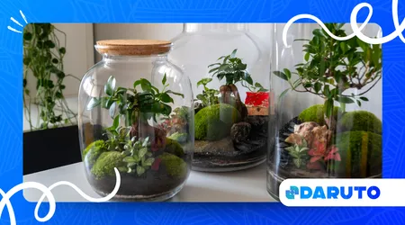 plant-based DIY trends