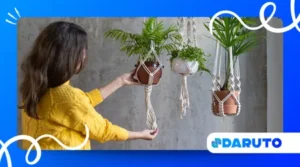 Beginner macrame plant hanger tutorial for shome decor